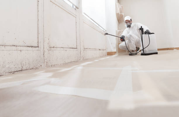 24/7 Emergency Mold Removal experts in McLean, VA